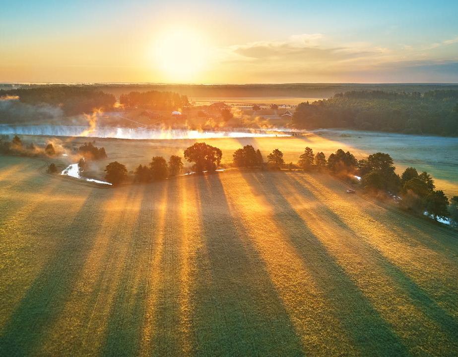 防伪溯源行业最新政策动态