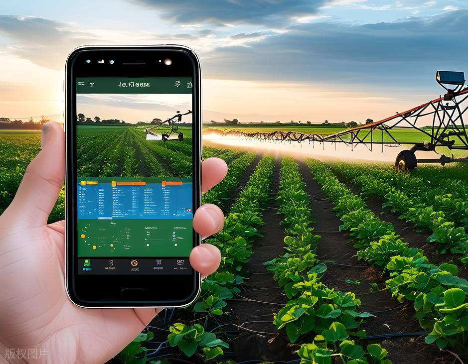 一物一码防伪系统完整演示：从后台到消费者端